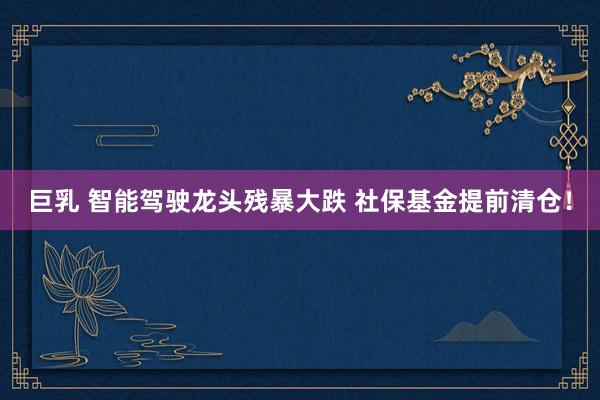 巨乳 智能驾驶龙头残暴大跌 社保基金提前清仓！