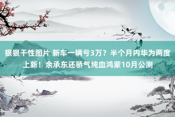 狠狠干性图片 新车一辆亏3万？半个月内华为两度上新！余承东还骄气纯血鸿蒙10月公测