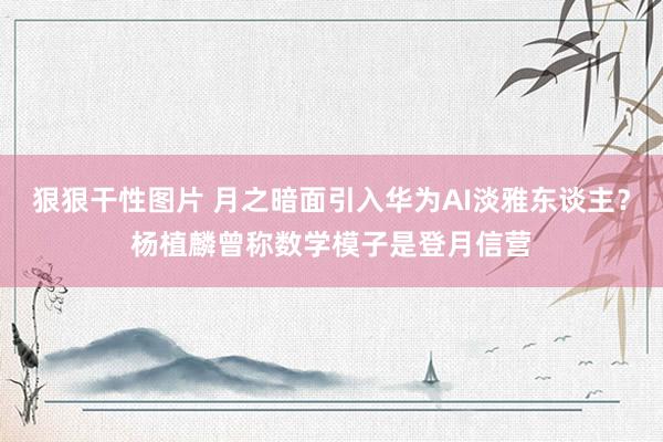 狠狠干性图片 月之暗面引入华为AI淡雅东谈主？杨植麟曾称数学模子是登月信营