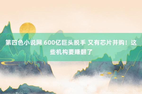 第四色小说网 600亿巨头脱手 又有芯片并购！这些机构要赚翻了