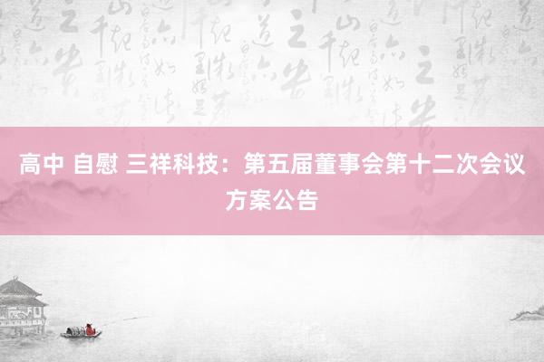 高中 自慰 三祥科技：第五届董事会第十二次会议方案公告