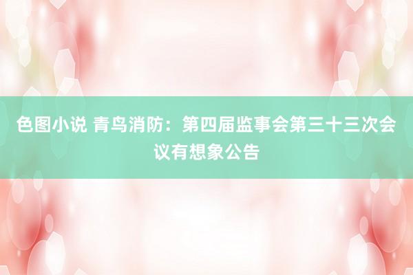 色图小说 青鸟消防：第四届监事会第三十三次会议有想象公告