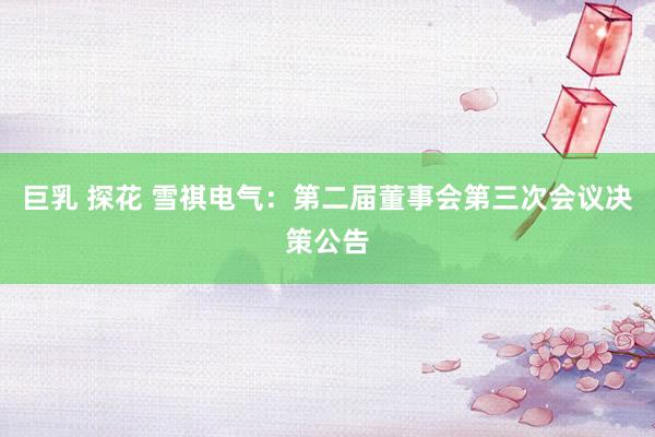 巨乳 探花 雪祺电气：第二届董事会第三次会议决策公告