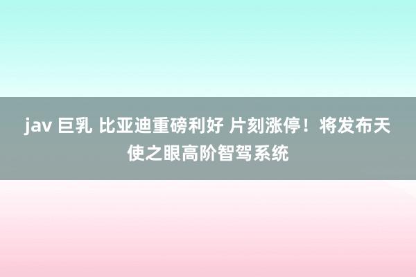 jav 巨乳 比亚迪重磅利好 片刻涨停！将发布天使之眼高阶智驾系统
