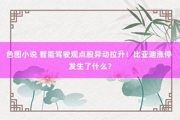 色图小说 智能驾驶观点股异动拉升！比亚迪涨停 发生了什么？