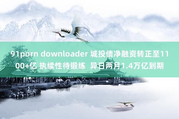 91porn downloader 城投债净融资转正至1100+亿 执续性待锻练  异日两月1.4万亿到期